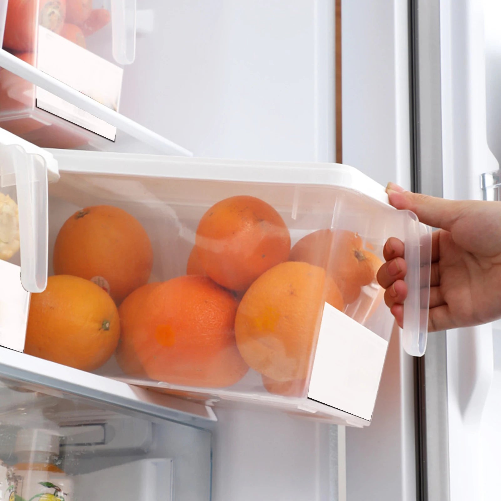 Portable Refrigerator Fridge Sealed Food Fruits Storage Box Organizer Container Storage Box Food Container Plastic Keep Fresh